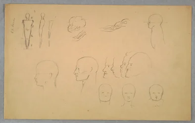 Rysunek, badania anatomiczne, 1865-70
