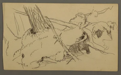 Rysunek, podstawa drzewa, głaz, prawdopodobnie 1877 r.