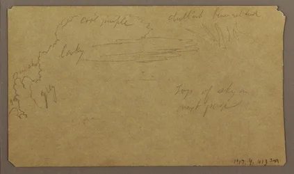 Rysunek, Szkice botaniczne; Verso: Chmury, lipiec 1865 r.