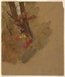 Rysunek, studia botaniczne, 1860-70