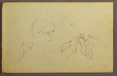 Rysunek, Krowa drapiąca się po głowie, roślina liściasta, prawdopodobnie 1844 r.