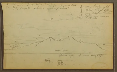 Rysunek, Krowy w krajobrazie; Verso: Bambus, 1857