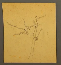Rysunek, Martwe drzewa, prawdopodobnie lipiec 1866 r.