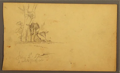 Rysunek, Osły, 2 czerwca 1857 r.