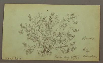 Rysunek, Głowa mężczyzny, Mężczyzna palący, Studium żaglówki, Dom, 27 maja 1868 r.