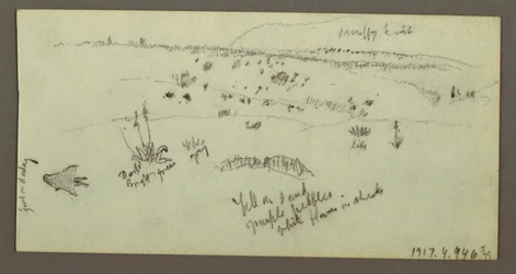 Rysunek, wzgórze, krzewy, postać, studium wielbłąda, prawdopodobnie 1868 r.