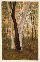 Rysunek, W lesie, Hudson, Nowy Jork, październik 1865 r.