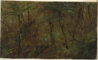 Rysunek, W lesie Jamacia, Indie Zachodnie, 1865 r.