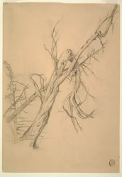 Rysunek, obozowisko Indian, Grand Manan, Zatoka Fundy, wrzesień 1851 r.
