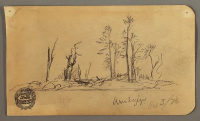 Rysunek, wyspa, 1878 r.
