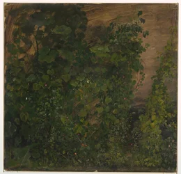 Rysunek, Roślinność w dżungli, 1865