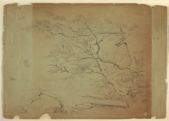 Rysunek, Krajobraz z drzewami i strumieniem [], wyspa Grand Manan, Kanada, wrzesień 1851 r.