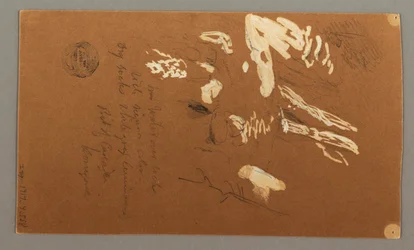 Rysunek, dolna połowa drzewa, 9 lipca 1868 r.