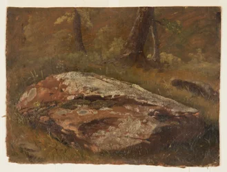 Rysunek, Mossy Rock, sierpień 1845 r.