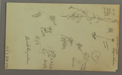 Rysunek, Studium góry, prawdopodobnie 1868