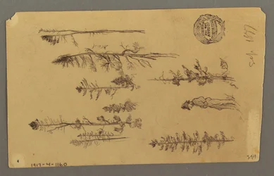 Rysunek, szczyt góry, 1877 r.