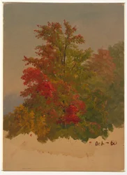 Rysunek, Mt. Desert Island, Maine, październik 1860 r.
