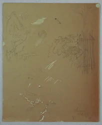 Rysunek, studia przyrodnicze, Góry Błękitne, Jamajka, lipiec 1865 r.
