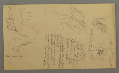 Rysunek, studia roślin, notatki o roślinach, wodospad, 1868