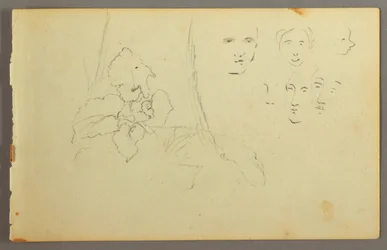 Rysunek, studium rośliny, twarze, prawdopodobnie 1844 r.