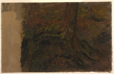 Rysunek, studium pnia drzewa, 1850-60