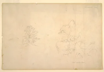 Rysunek, Drzewo i martwy pień, wrzesień 1844 r.