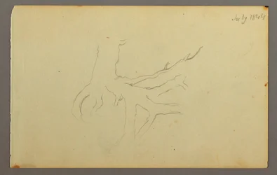 Rysunek, Korzenie drzew, 1844