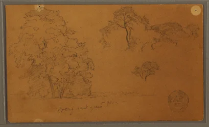 Rysunek, Drzewa, 1857