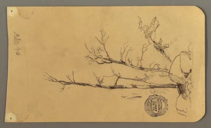 Rysunek, Drzewa, głazy, 1878 r.