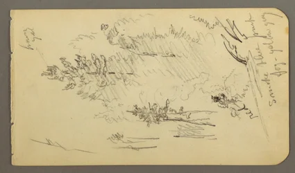 Rysunek Drzewa we mgle, prawdopodobnie 1878 r.