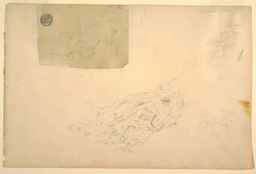 Rysunek, dwie trzęsące się ręce, sękate korzenie drzew, wrzesień 1844 r.