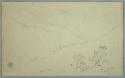 Rysunek, widok szczytu Blue Mountain widziany z okolic Salloway Hill, Jamajka, lipiec 1865 r.