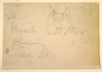 Rysunek, Widok przykucniętego bydła, wrzesień 1844 r.