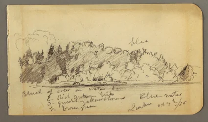 Rysunek, zalesiony brzeg, woda, 1878 r.