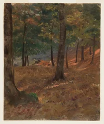 Rysunek, scena leśna, 1870-80