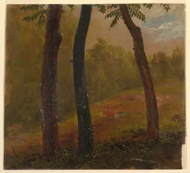 Rysunek, Scena w lesie, Jamajka, 1865 r.