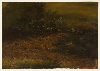 Rysunek, strumień Woodland w Catskills, wrzesień 1848 r.
