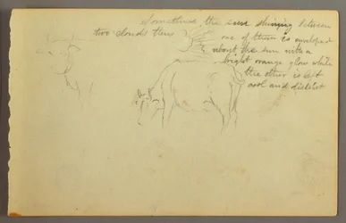 Rysunek, promienie między chmurami, byki, prawdopodobnie 1877 r.