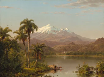 Palmy Tamaca, 1854.