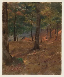 Scena leśna