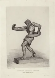 Sportowiec dusi Pythona