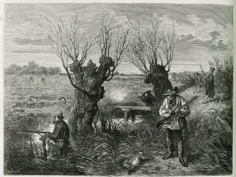 Poluj na zająca. Grawerowanie F.Lixa, aby zilustrować historię „Przez Alzację i Lotaryngię””, w 1884 r., Charles Grad
