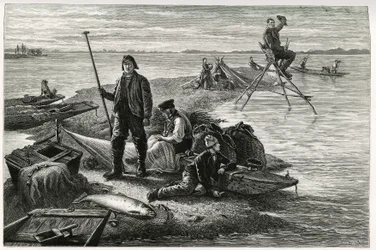 Połów łososia. Grawer autorstwa F.Lixa, ilustrujący opowieść „Przez Alzację i Lotaryngię””, w 1884 r. autorstwa Charlesa Grada (1842-1890), niemieckiego deputowanego, pisarza i przyrodnika. Opublikowano w Le Tour du monde, nouveau journal des voyages, 2. s