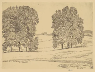 Hikory w Hayfield, 1917.