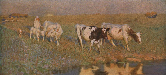 Basen do picia, ok. 1898, ok. 1930.