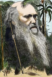 Charles DARWIN (1809-1882) karykatura F. Waddy w „” raz w tygodniu” z 1873 roku.
