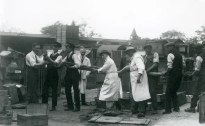 Pyton o długości 20 stóp niesiony przez jedenastu członków personelu Towarzystwa Zoologicznego, londyńskie zoo, czerwiec 1925 r