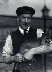 Stróż trzyma wallaby, październik 1920 (zdjęcie czarno-białe)