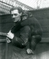 Mężczyzna niesie na plecach szympansa Sally, londyńskie zoo, 1924