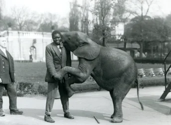 Młody afrykański słoń karłowaty stoi na tylnych łapach, aby objąć swojego afrykańskiego trenera, podczas gdy opiekun patrzy na londyńskie zoo, lipiec 1925